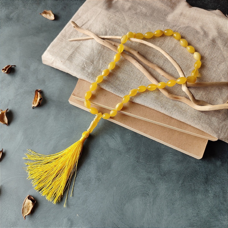 Четки мус. янтарь 530100156 (11)