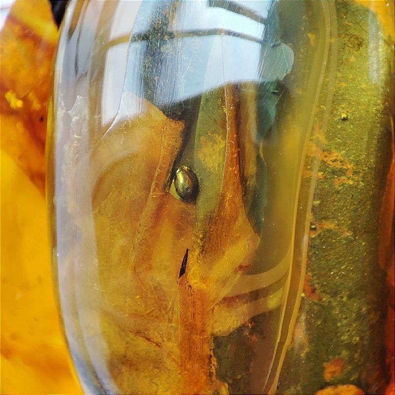 Браслет "Мандарин" инклюз,янтарь