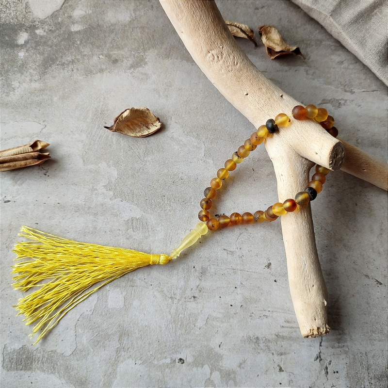 Четки мус. янтарь 5410022 (5)