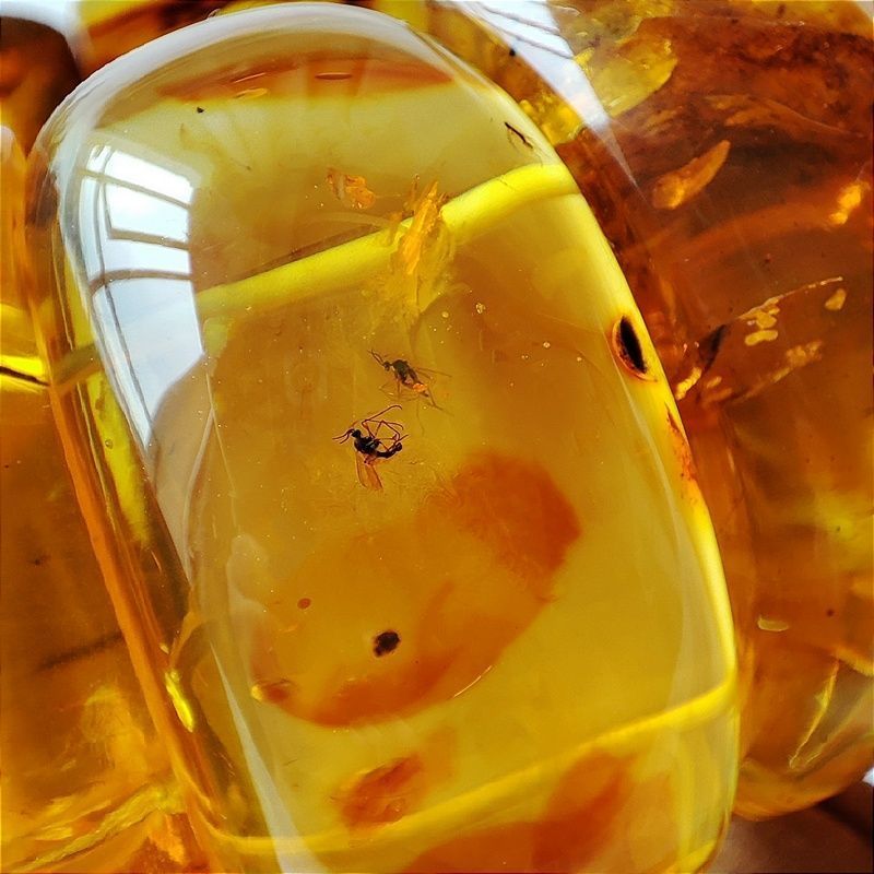 Браслет "Мандарин" инклюз,янтарь