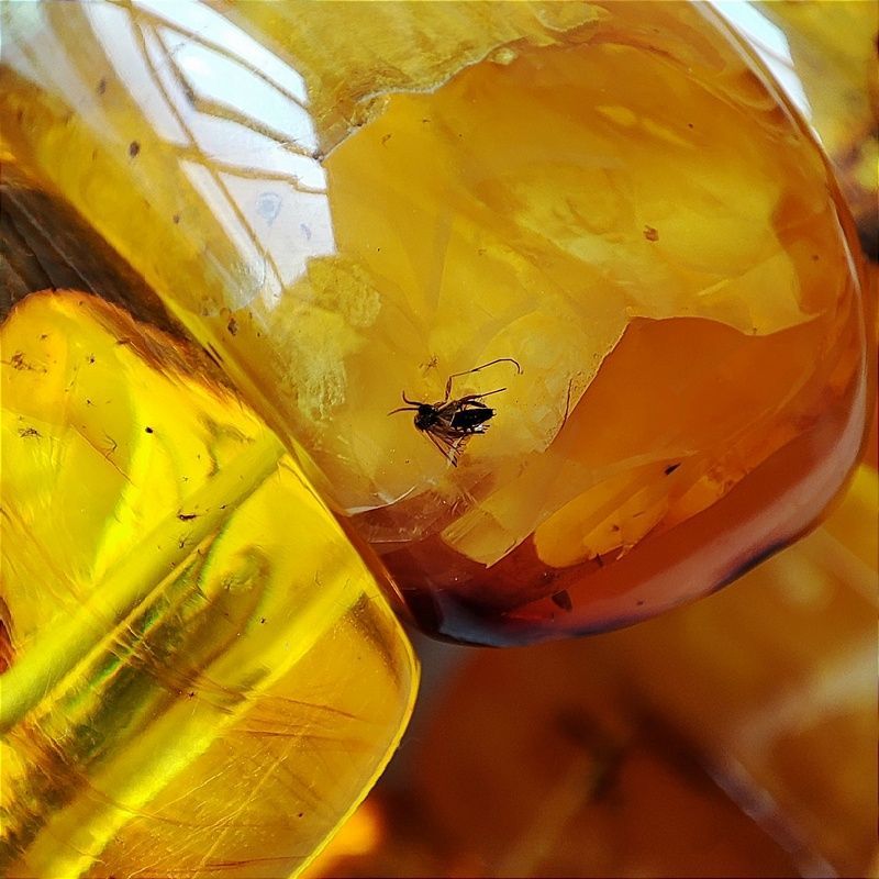 Браслет "Мандарин" инклюз,янтарь