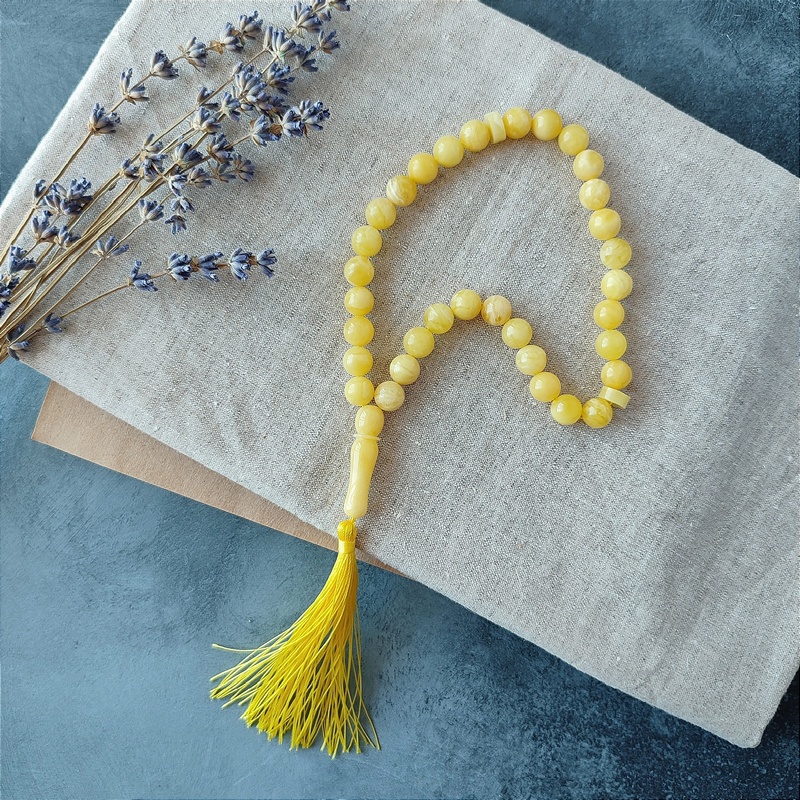 Четки мус. янтарь 5320041 (1)