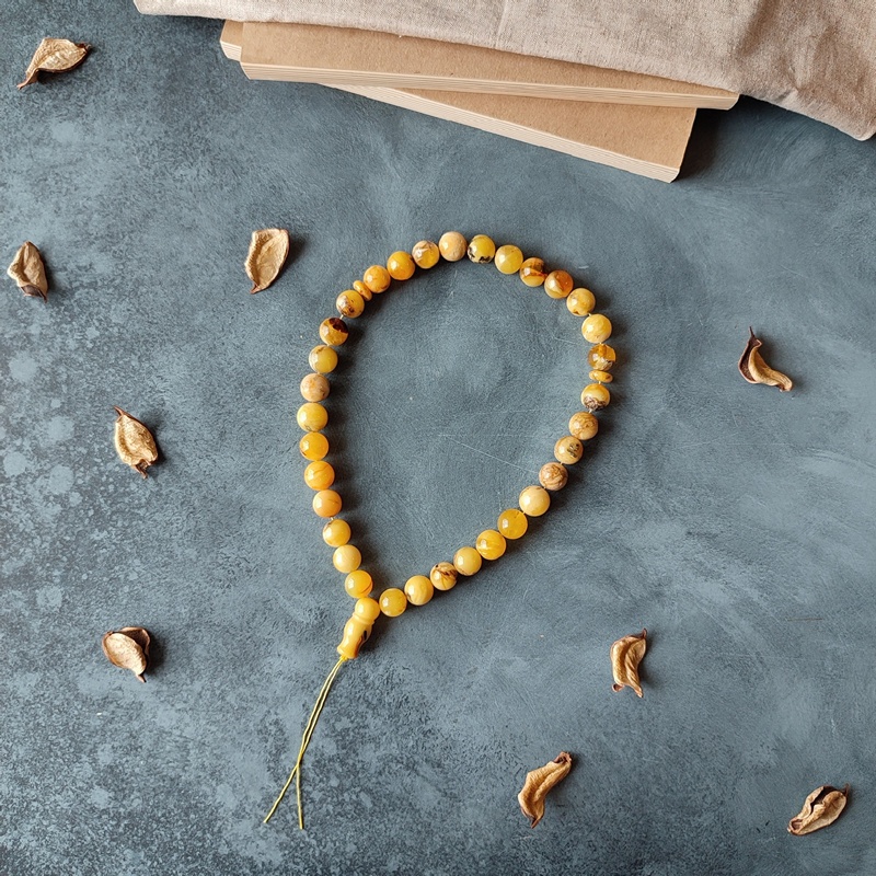 Четки мус. янтарь 5310033 (4)