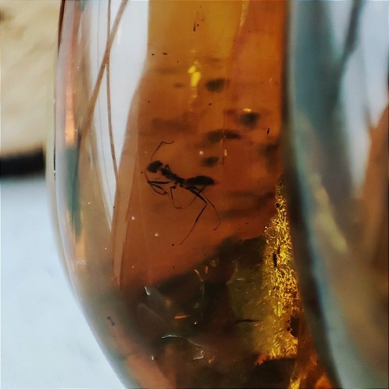 Браслет "Мандарин" янтарь