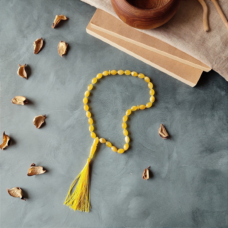 Четки мус. янтарь 530100156 (4)